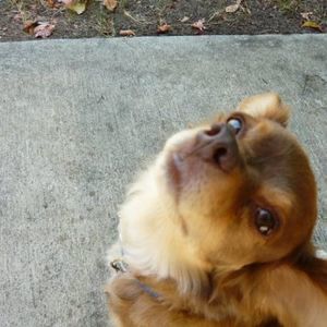 Meet your Posher, Linda